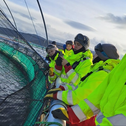 Senja Videregående Skole og AARHUS TECH