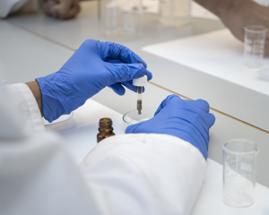 foto af arbejdende hænder med blå plastikhandsker i laboratorie